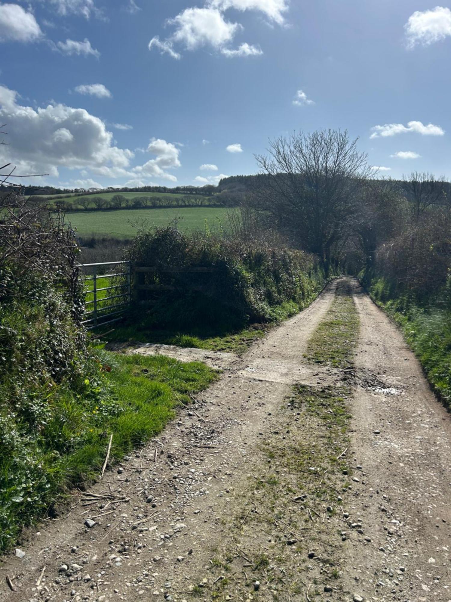 Meadowside Cottage, Characterful Grade 2 Listed Cottage Near To Wadebridge And Padstow Zewnętrze zdjęcie